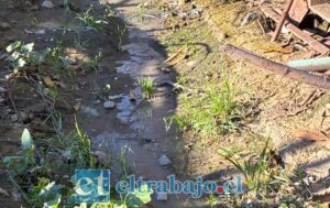Comunidad Calle Herrera denuncia graves problemas ambientales generados por lechería industrial