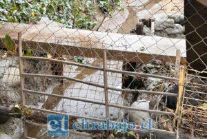 En Calle Herrera insisten en drama ambiental por lechería industrial: «No vemos cambios en el actuar de la empresa»