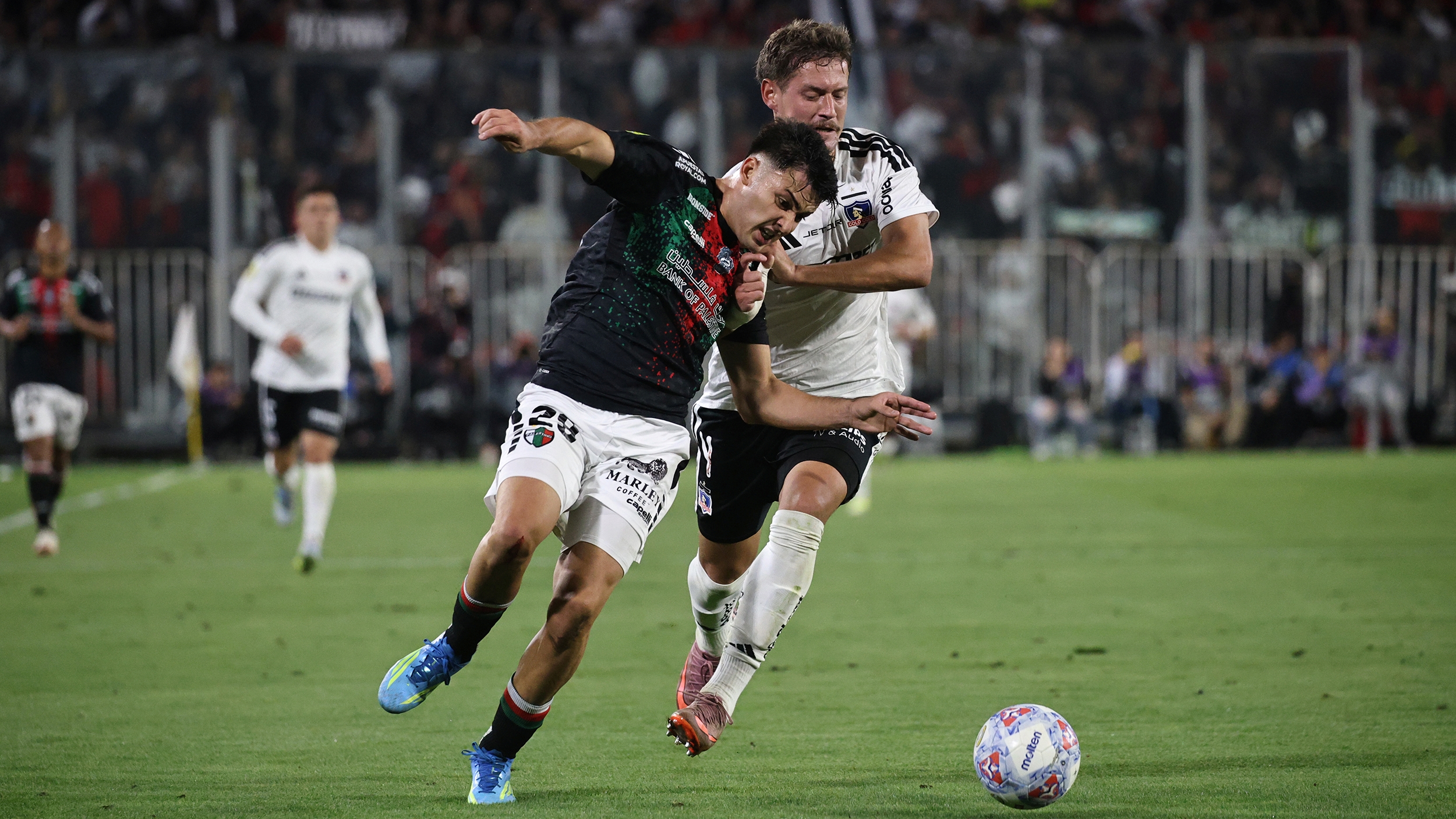 Palestino toma una decisión para recibir a Colo Colo y prepara un cambio de localía